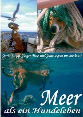 Cover image for Meer als ein Hundeleben: mit allen Wasser gewaschen