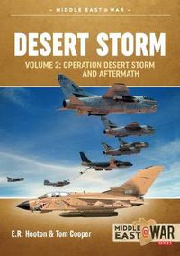 Cover image for Desert Storm Volume 2: Operation Desert Storm and Aftermath