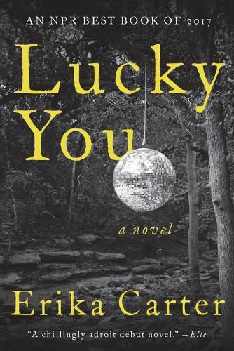 Cover image for Lucky You: A Novel
