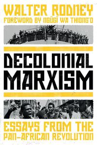Cover image for Decolonial Marxism: Essays from the Pan-African Revolution