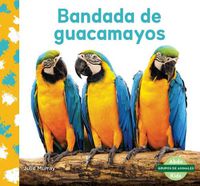 Cover image for Bandada De Guacamayos / Macaw Flock