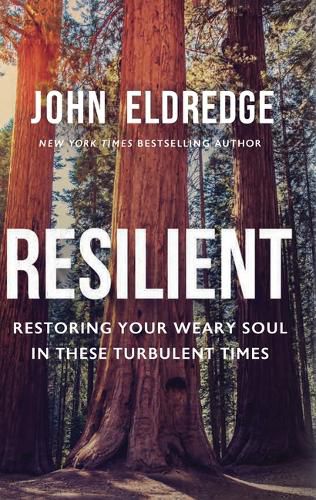 Cover image for Resilient: Restoring Your Weary Soul in These Turbulent Times