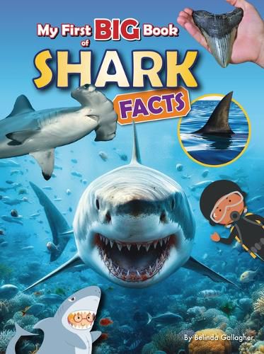 Cover image for My First Big Book of Shark Facts