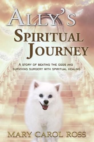 Cover image for Ally's Spiritual Journey: A Story of Beating the Odds and Surviving Surgery with Spiritual Healing