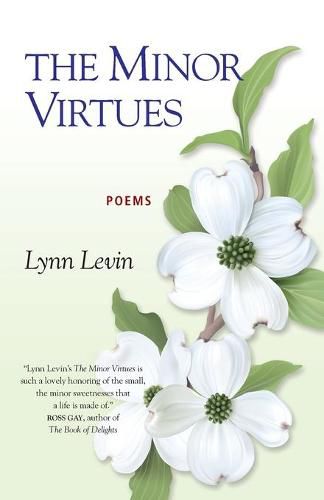 Cover image for The Minor Virtues: Poems