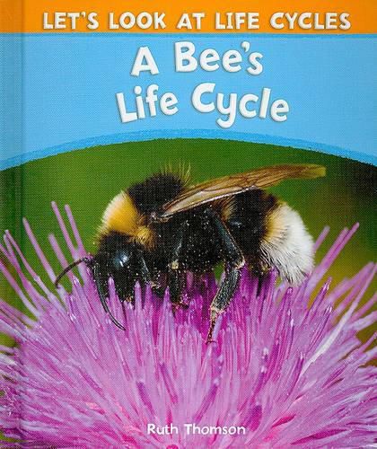 Cover image for A Bee's Life Cycle