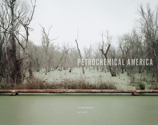 Cover image for Petrochemical America