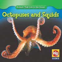 Cover image for Octopuses and Squids