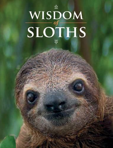 Cover image for Wisdom of Sloths