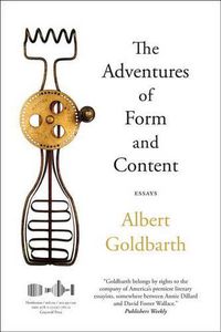 Cover image for The Adventures of Form and Content: Essays