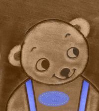 Cover image for Tiny Bear Bible