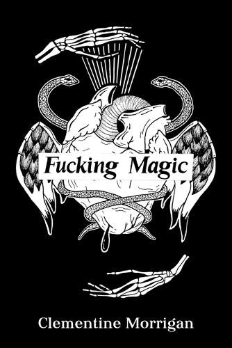 Cover image for Fucking Magic