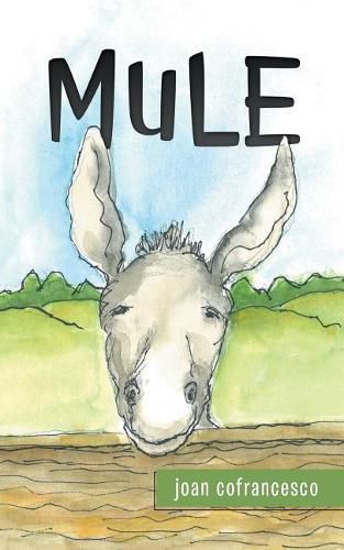 Cover image for Mule