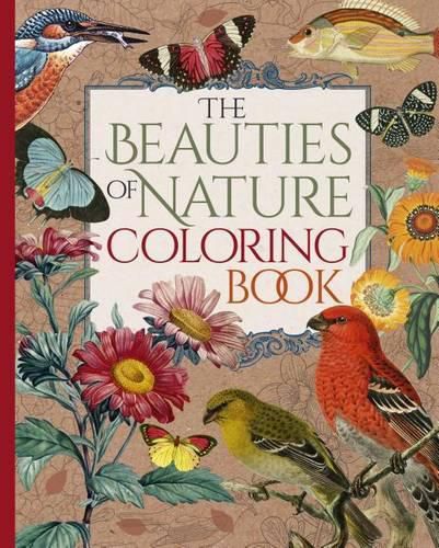 Cover image for The Beauties of Nature Coloring Book: Coloring Flowers, Birds, Butterflies, & Wildlife