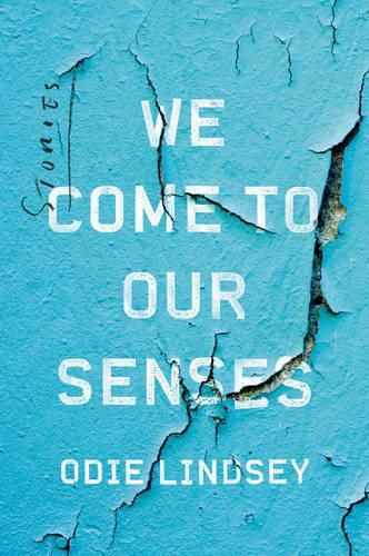 Cover image for We Come to Our Senses: Stories