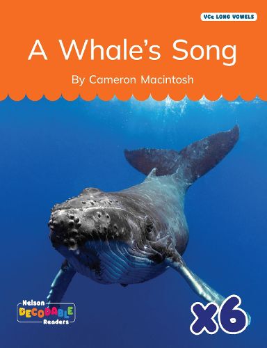 Cover image for A Whale's Song x 6 (VCe Long Vowels)