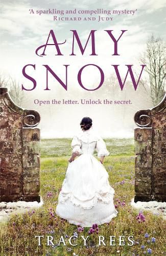 Cover image for Amy Snow