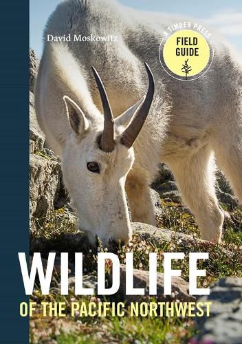 Cover image for Wildlife of the Pacific Northwest