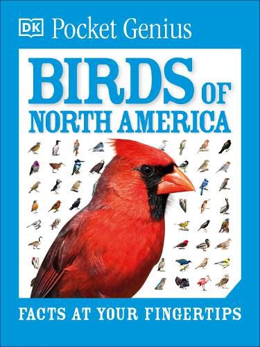 Cover image for Pocket Genius Birds of North America