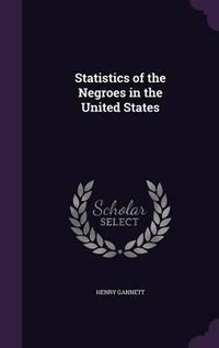 Cover image for Statistics of the Negroes in the United States