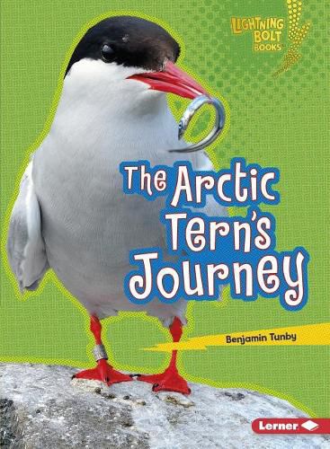 The Arctic Tern's Journey