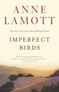 Cover image for Imperfect Birds: A Novel