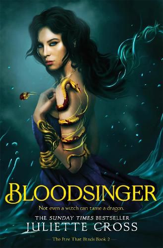 Cover image for Bloodsinger