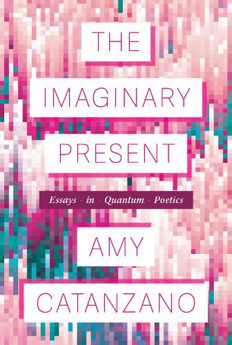 Cover image for The Imaginary Present