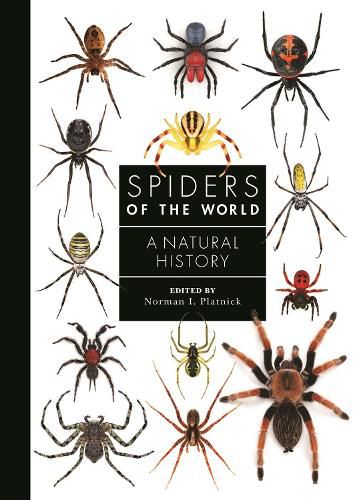 Cover image for Spiders of the World: A Natural History