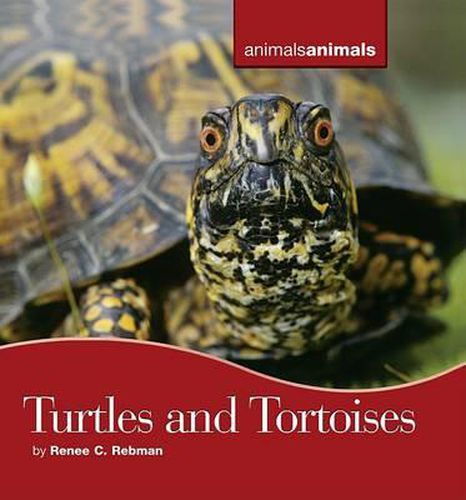 Cover image for Turtles and Tortoises