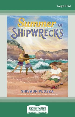 Cover image for Summer of Shipwrecks