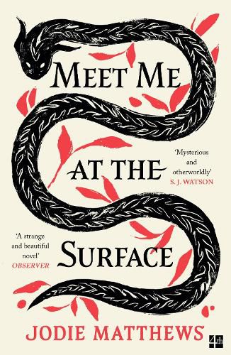 Cover image for Meet Me at the Surface