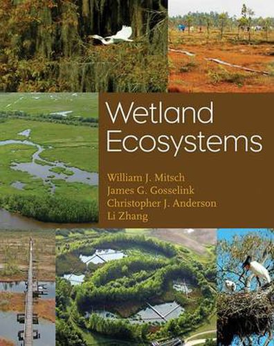 Cover image for Wetland Ecosystems