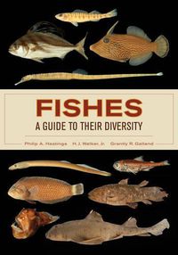 Cover image for Fishes: A Guide to Their Diversity