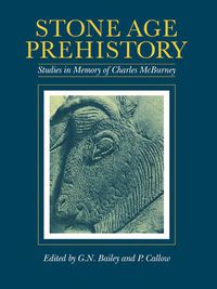 Cover image for Stone Age Prehistory: Studies in Memory of Charles McBurney