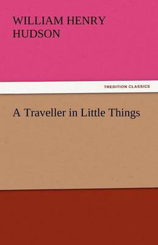Cover image for A Traveller in Little Things
