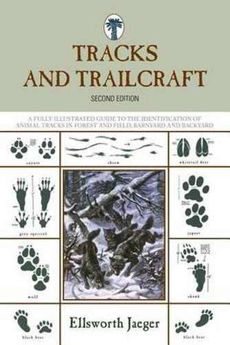 Cover image for Tracks and Trailcraft: A Fully Illustrated Guide To The Identification Of Animal Tracks In Forest And Field, Barnyard And Backyard