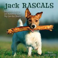 Cover image for Jack Rascals: Bouncing, Barking, and Burrowing Their Way Into Our Hearts