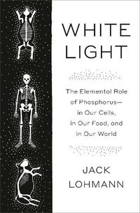 Cover image for White Light