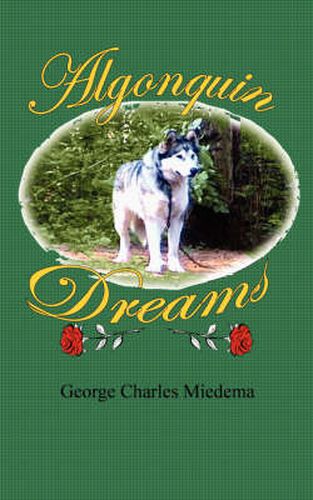 Cover image for Algonquin Dreams