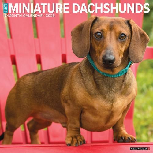 Cover image for Just Mini Pinschers 2023 Wall Calendar