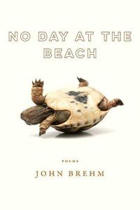 Cover image for No Day at the Beach