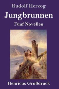 Cover image for Jungbrunnen (Grossdruck): Funf Novellen