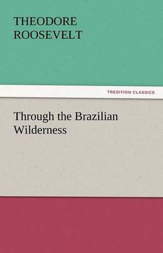 Cover image for Through the Brazilian Wilderness