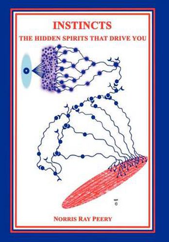 Cover image for Instincts:the Hidden Spirits That Drive You