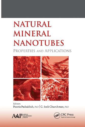 Cover image for Natural Mineral Nanotubes: Properties and Applications