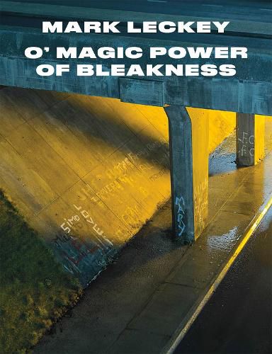 Cover image for Mark Leckey