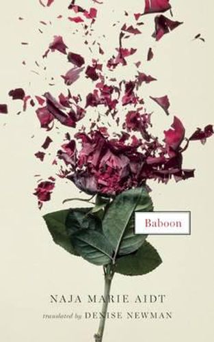 Cover image for Baboon