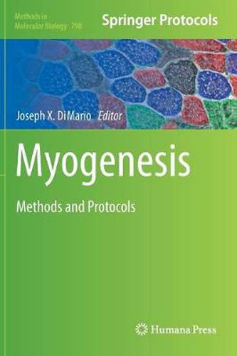 Cover image for Myogenesis: Methods and Protocols