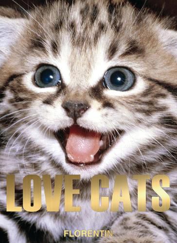 Cover image for Love Cats